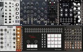 My goateed Eurorack