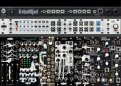 Intellijel 62 - Cursus Iteritas