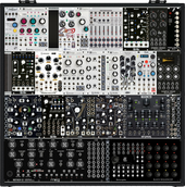 Real Case (copy)
