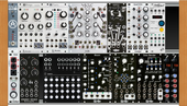 My phasmid Eurorack