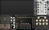 My goateed Eurorack (copy) (copy) (copy)