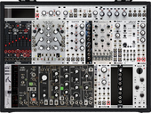 current case 2 (ecosystem patch)