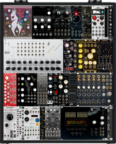 My phasmid Eurorack (copy) (copy)