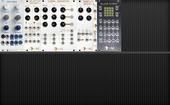 My goosy Eurorack