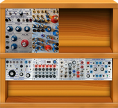 My faecal Buchla
