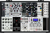 Smelly Cat Eurorack