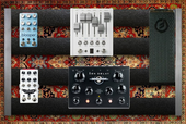 My Feb 2020 Pedalboard