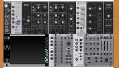 My muscid Eurorack (copy)