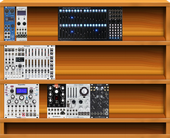 Interesting modules