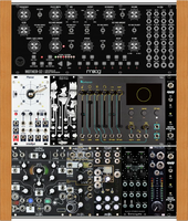 Moog T4