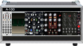 BELLCHILD CASE