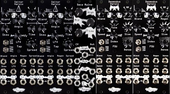 My sterile Eurorack
