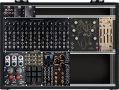 My waspish Eurorack