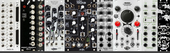 My lingual Eurorack