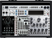 Intellijelly