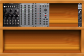 Moog Organ