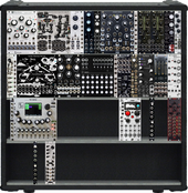 newambient intellijel