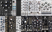 My parotid Eurorack