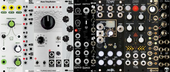 Dfam Case