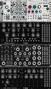 My eaten Eurorack