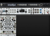 Intellijel 2021 (copy) (copy)