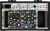 My cichlid Eurorack