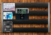 Novo 24 (copy)