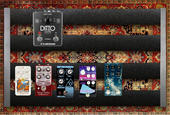 My queenless Pedalboard
