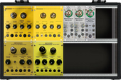 Metasonix
