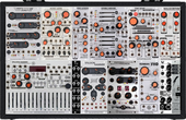 harvestman