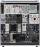 dual case ideas