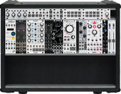 My sarcoid Eurorack