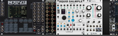 My whiskered Eurorack