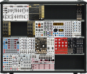 Performance case