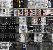 Ebony Tiger 2021 (Siam) Symmetry5