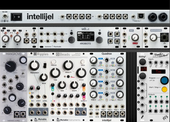 Intellijel Pallette 62HP - Beads