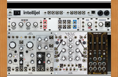 Fedor Consult Buchla