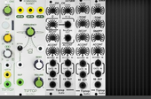 My brambly Eurorack