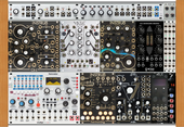 My fulvous Eurorack