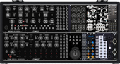 Erica Moog Case