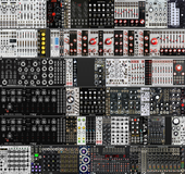 Ebony Tiger 2021 (Siam) Symmetry7