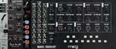 Summer 2021 Mutable Clone Rig (copy) (copy)