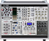 P6 Case (copied from desdinova)