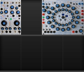My brindle Buchla