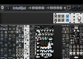 Mono Synth Rack (Intellijel 62)