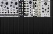 My spathose Eurorack