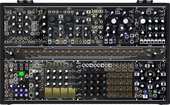 Z Black &amp; Gold Shared System Plus