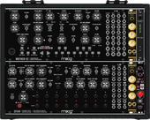 Moog Case