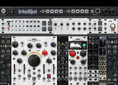_old Intellijel 004