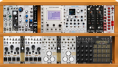 My prostrate Eurorack